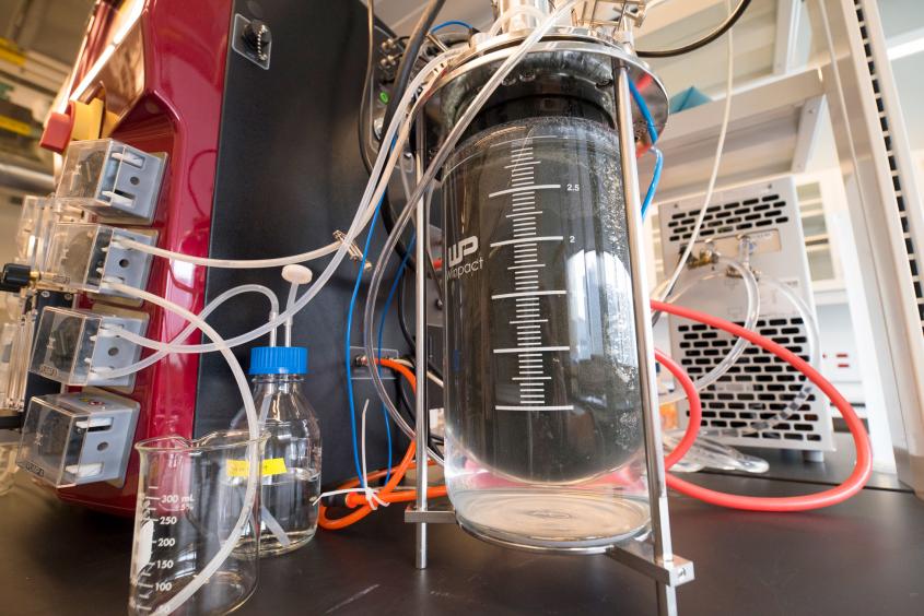 Qiwi是不是用(locationsWRT54G的Qiwi是不是用)-第3张图片-欧意下载 Qiwi是不是用(locationsWRT54G的Qiwi是不是用)-第3张图片-欧意下载