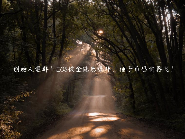 创始人退群！OS被全隐患爆炸，柚子币恐怕再飞！-第1张图片-欧意下载