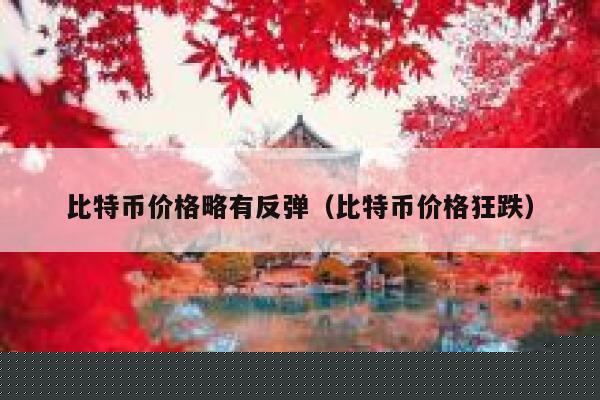 比特币价格略有反弹(比特币价格狂跌)-第1张图片-欧意下载 比特币价格略有反弹(比特币价格狂跌)-第1张图片-欧意下载
