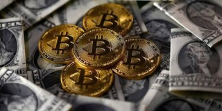 PBTT币最新行情如何