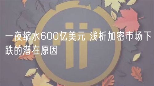 一夜缩水600亿美元 浅析加密市场下跌的潜在原因-第1张图片-欧意下载 一夜缩水600亿美元 浅析加密市场下跌的潜在原因-第1张图片-欧意下载