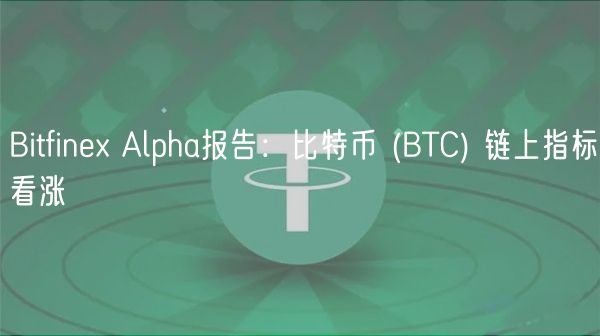 Bitfinex Alpha报告：比特币 (BTC) 链上指标看涨-第1张图片-欧意下载