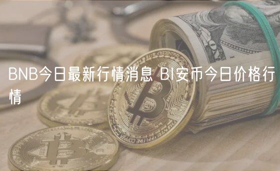 BNB今日最新行情消息 BI安币今日价格行情-第1张图片-欧意下载