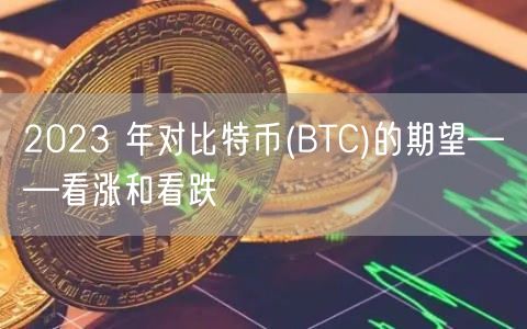 2023 年对比特币(BTC)的期望——看涨和看跌-第1张图片-欧意下载 2023 年对比特币(BTC)的期望——看涨和看跌-第1张图片-欧意下载
