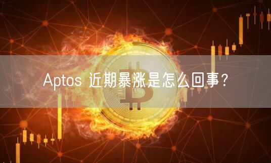 Aptos 近期暴涨是怎么回事?-第1张图片-欧意下载 Aptos 近期暴涨是怎么回事?-第1张图片-欧意下载