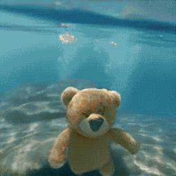 chat down,chatplus-第3张图片-欧意下载