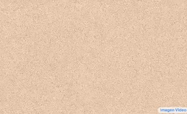 chat down,chatplus-第4张图片-欧意下载