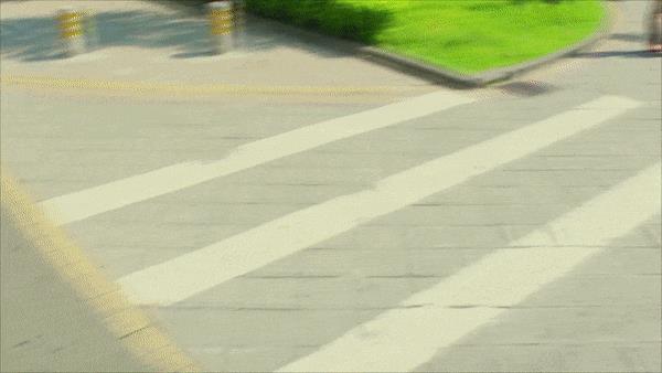 chat down,chatplus-第11张图片-欧意下载