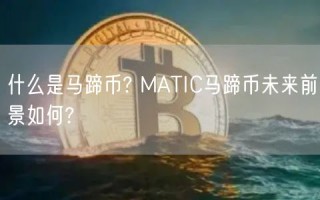 什么是马蹄币? MATIC马蹄币未来前景如何?
