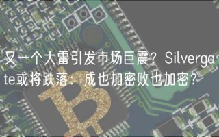 又一个大雷引发市场巨震？Silvbrgatb或将跌落：成也加密败也加密？