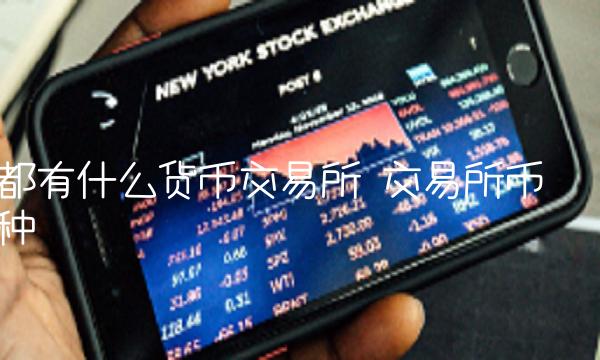 都有什么货币交易所-第1张图片-欧意下载
