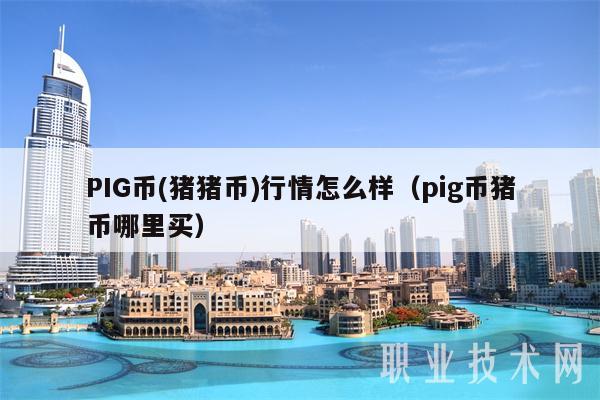 PIG币 - 猪猪币行情怎么样（pig币猪币哪里买-第1张图片-欧意下载