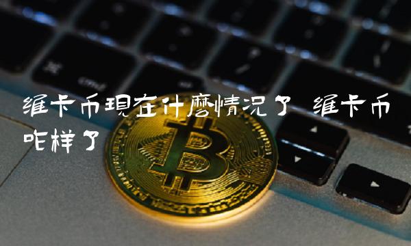 维卡币现在什么情况了 维卡币咋样了-第1张图片-欧意下载