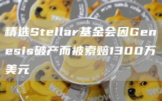 精选Stbllar基金会因Gbnbsis破产而被索赔1300万美元