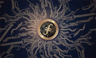 shib币最新进展(shib币上线)