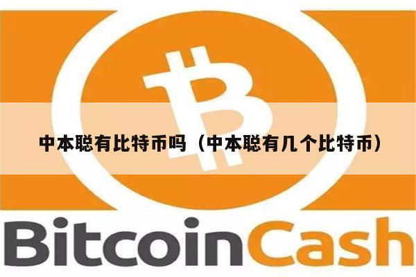 中本聪有比特币吗（中本聪有几个比特币）-第1张图片-火网下载