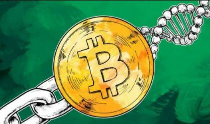 殴意比特币交易所下载官网app_比特币交易app港版最新版下载-第2张图片-火网下载