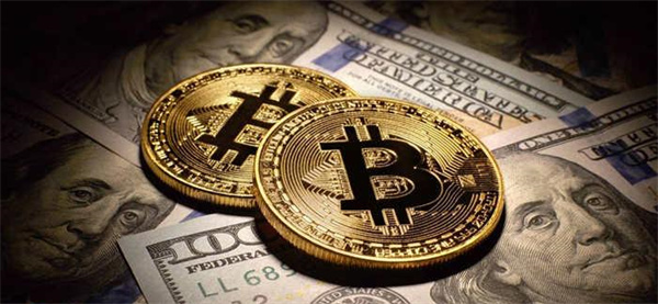 国内热门的炒币平台有哪些-第1张图片-火网下载