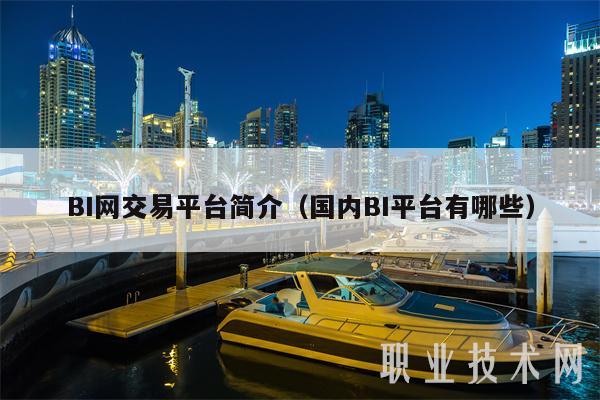BI网交易平台简介（国内BI平台有哪些-第1张图片-火网下载