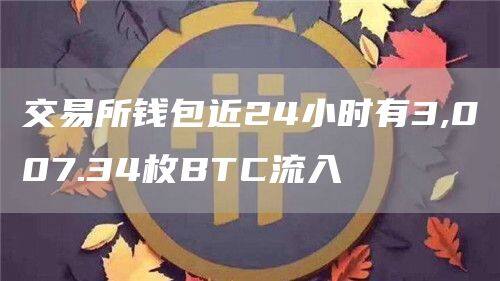 交易所钱包近24小时有3,007.34枚BTC流入-第1张图片-火网下载