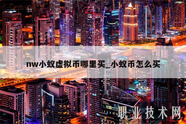 nw小蚁虚拟币哪里买_小蚁币怎么买-第1张图片-火网下载