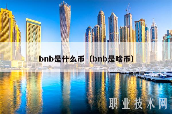 bnb是什么币（bnb是啥币-第1张图片-火网下载