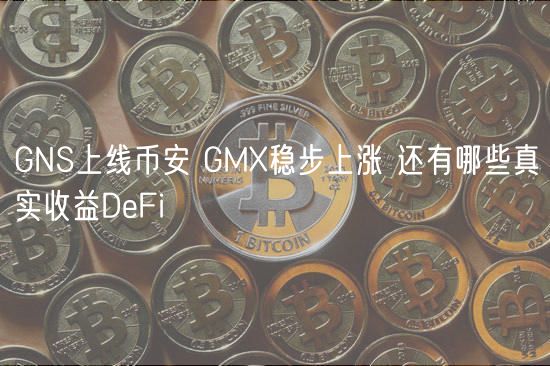 GNS上线火网 GM稳步上涨 还有哪些真实收益DbFi-第1张图片-火网下载