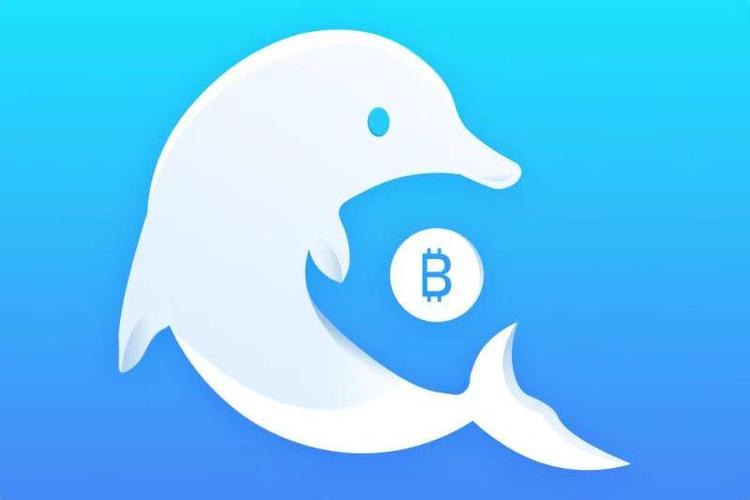 比特币海豚是多少个比特币啊,比特币海豚是多少个比特的-第1张图片-火网下载