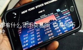 都有什么货币交易平台