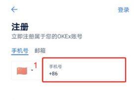 火网交易所新手教程，火网如何注册开户步骤-第3张图片-火网下载