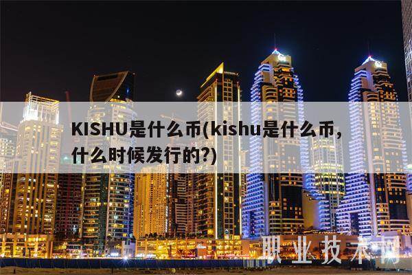 KISHU是什么币(kishu是什么币,什么时候发行的?)-第1张图片-火网下载