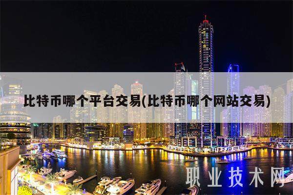 比特币哪个平台交易(比特币哪个网站交易)-第1张图片-火网下载