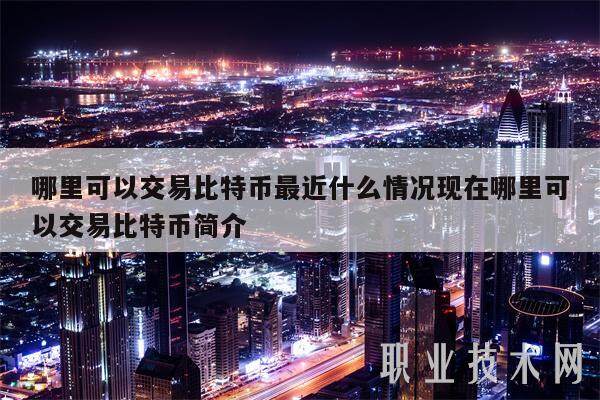 哪里可以交易比特币最近什么情况现在哪里可以交易比特币简介-第1张图片-火网下载