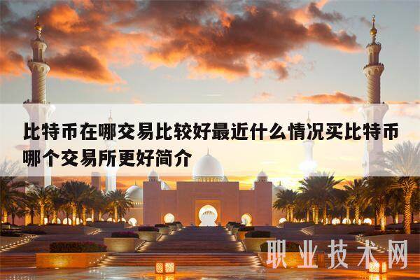 比特币在哪交易比较好最近什么情况买比特币哪个交易所更好简介-第1张图片-火网下载