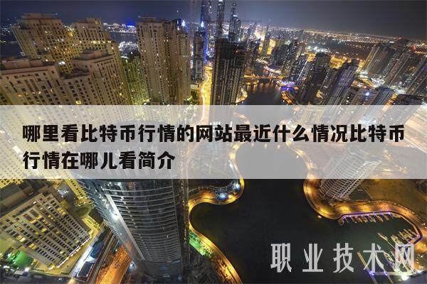 哪里看比特币行情的网站最近什么情况比特币行情在哪儿看简介-第1张图片-火网下载
