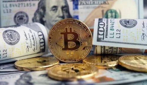 火网比特币交易客户端下载_火网交易客户端app下载-第4张图片-火网下载 火网比特币交易客户端下载_火网交易客户端app下载-第4张图片-火网下载