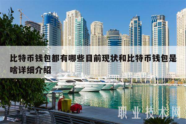 比特币钱包都有哪些目前现状和比特币钱包是啥详细介绍-第1张图片-火网下载