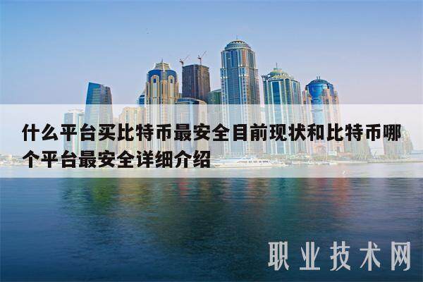什么平台买比特币最安全目前现状和比特币哪个平台最安全详细介绍-第1张图片-火网下载
