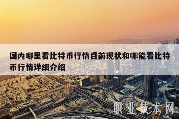 国内哪里看比特币行情目前现状和哪能看比特币行情详细介绍-第1张图片-火网下载