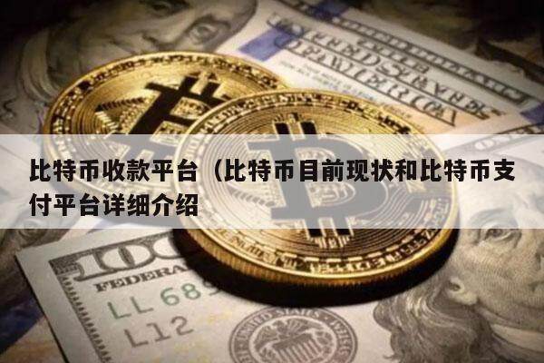 比特币收款平台（比特币目前现状和比特币支付平台详细介绍-第1张图片-火网下载