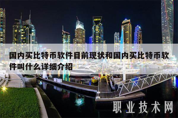 国内买比特币软件目前现状和国内买比特币软件叫什么详细介绍-第1张图片-火网下载