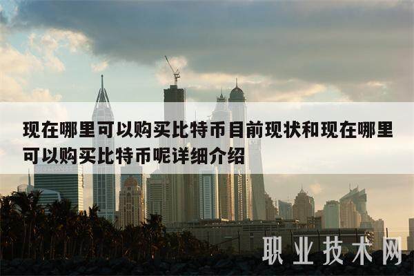 现在哪里可以购买比特币目前现状和现在哪里可以购买比特币呢详细介绍-第1张图片-火网下载