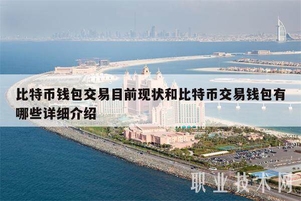 比特币钱包交易目前现状和比特币交易钱包有哪些详细介绍-第1张图片-火网下载