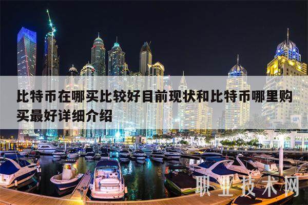 比特币在哪买比较好目前现状和比特币哪里购买最好详细介绍-第1张图片-火网下载