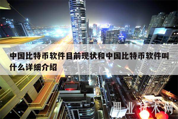 中国比特币软件目前现状和中国比特币软件叫什么详细介绍-第1张图片-火网下载
