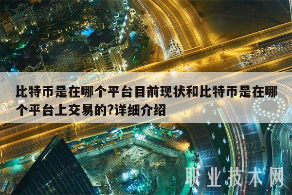 比特币是在哪个平台目前现状和比特币是在哪个平台上交易的?详细介绍-第1张图片-火网下载