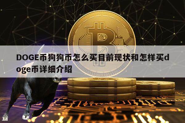 DOGE币狗狗币怎么买目前现状和怎样买doge币详细介绍-第1张图片-火网下载