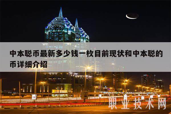 中本聪币最新多少钱一枚目前现状和中本聪的币详细介绍-第1张图片-火网下载