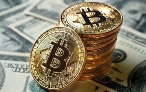 全球顶尖柚子币冷钱包哪些上榜?正规官方柚子币冷钱包用户量排名