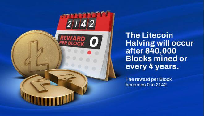 2023 年莱特币（LTC)减半：预测和加密货币市场影响-第1张图片-火网下载